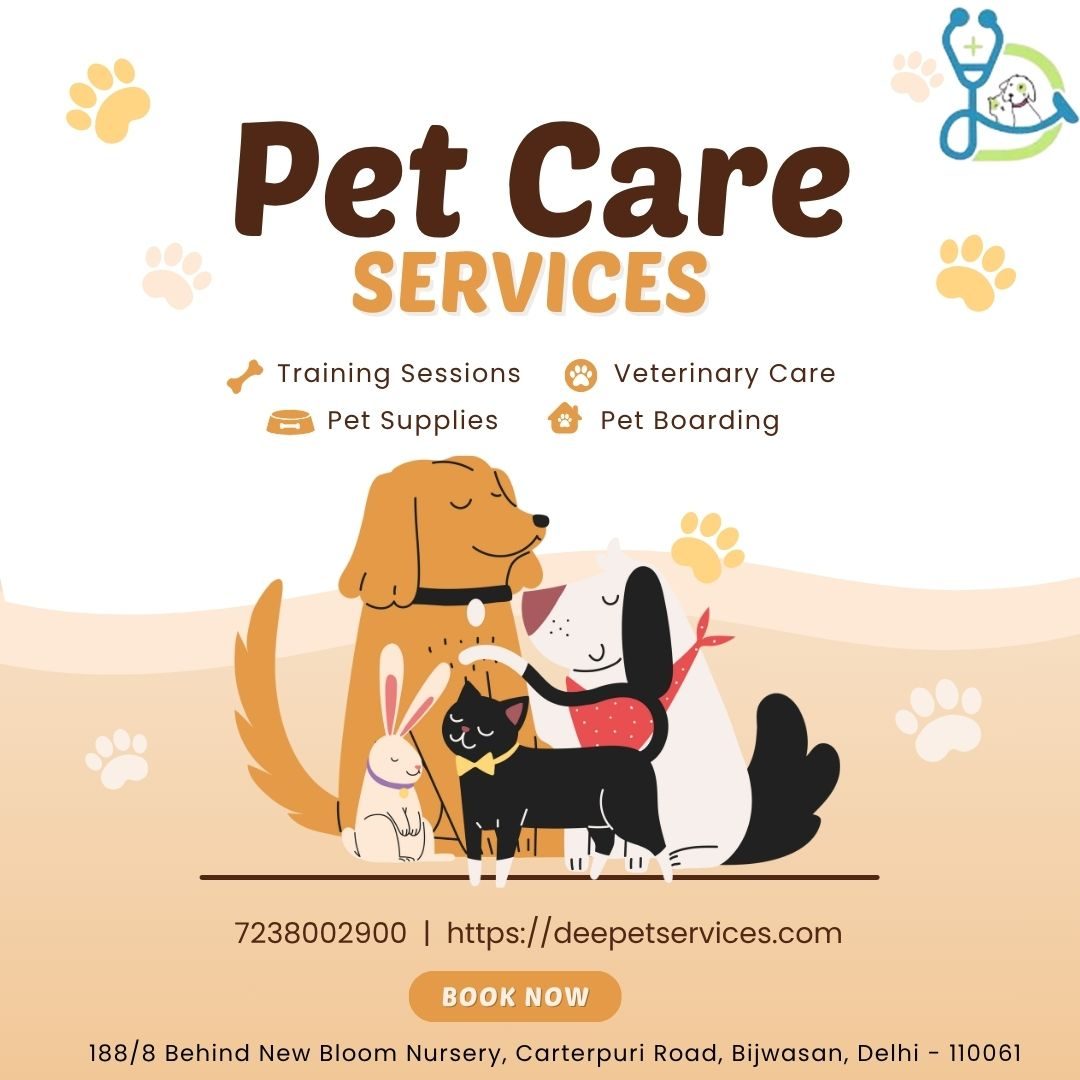 DeePet Services, pet care Delhi NCR, at-home pet care, affordable vet home visit, dog walking Delhi, cat grooming at home, pet grooming Delhi NCR, pet training Delhi, veterinary services at home, ₹499
